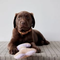 OYOY ZOO Ashi Dog Toy - Large To Our Furry Friends