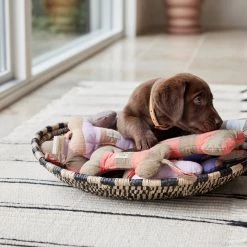 OYOY ZOO To Our Furry Friends Ashi Dog Toy - Large