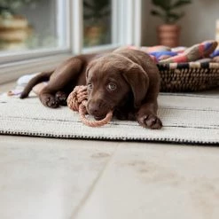 OYOY ZOO Ashi Dog Toy - Large To Our Furry Friends