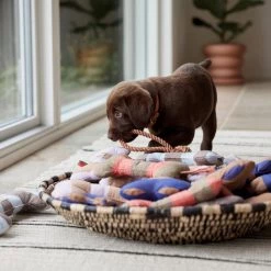 OYOY ZOO Ashi Dog Toy - Large To Our Furry Friends