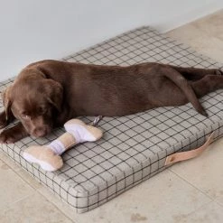 OYOY ZOO Ashi Dog Toy - Small