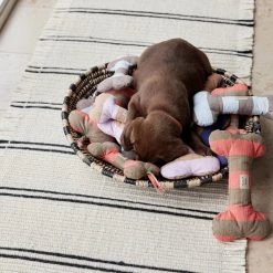 OYOY ZOO To Our Furry Friends Ashi Dog Toy - Small