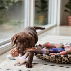 OYOY ZOO Ashi Dog Toy - Small To Our Furry Friends