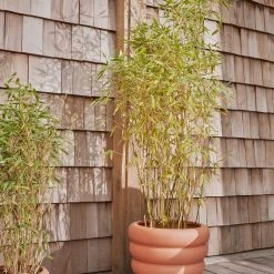 OYOY LIVING Awa Pot Outdoor - Large