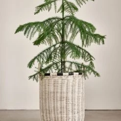 OYOY LIVING Boo Storage Basket - High LOOK FORWARD TO