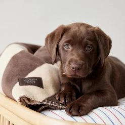 OYOY ZOO NOW IN STOCK Kaya Dog Blanket - Large