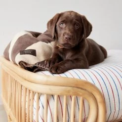 OYOY ZOO Kaya Dog Blanket - Medium