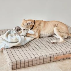 OYOY ZOO Kaya Dog Blanket - Small NOW IN STOCK
