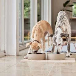 OYOY ZOO Koko Dog Bowl Mat Bowls