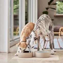 OYOY ZOO Koko Dog Bowl Mat Bowls
