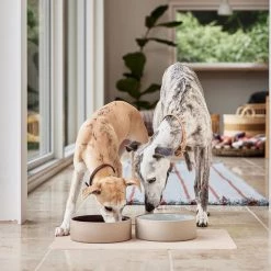 OYOY ZOO Koko Dog Bowl Mat Bowls