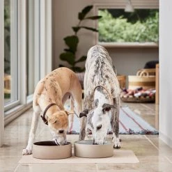 OYOY ZOO Koko Dog Bowl Mat Bowls