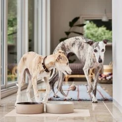 OYOY ZOO Koko Dog Bowl Mat Bowls