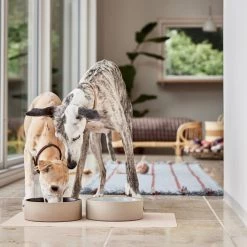 OYOY ZOO Koko Dog Bowl Mat Bowls