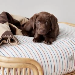 OYOY ZOO Kyoto Dog Cushion - Medium To Our Furry Friends