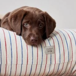 OYOY ZOO To Our Furry Friends Kyoto Dog Cushion - Small