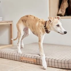 OYOY ZOO Milo Grid Dog Cushion - Large