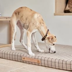 OYOY ZOO Milo Grid Dog Cushion - Large