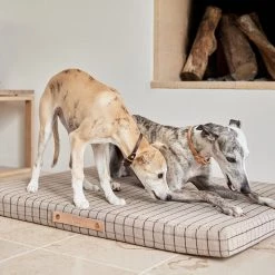 OYOY ZOO Milo Grid Dog Cushion - Medium To Our Furry Friends