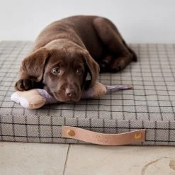 OYOY ZOO Milo Grid Dog Cushion - Small To Our Furry Friends