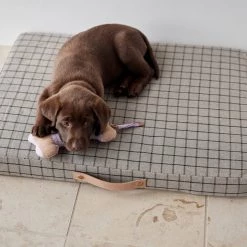OYOY ZOO Milo Grid Dog Cushion - Small To Our Furry Friends