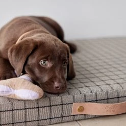 OYOY ZOO Milo Grid Dog Cushion - Small To Our Furry Friends