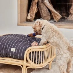 OYOY ZOO Otto Dog Bed - Small To Our Furry Friends