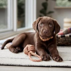 OYOY ZOO Otto Rope Dog Toy