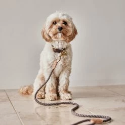 OYOY ZOO To Our Furry Friends Perry Dog Leash