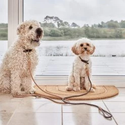 OYOY ZOO To Our Furry Friends Perry Dog Leash