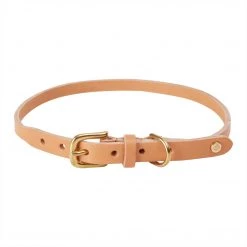 OYOY ZOO To Our Furry Friends Robin Dog Collar - Extra Large