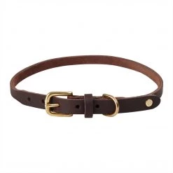 OYOY ZOO Robin Dog Collar - Extra Large To Our Furry Friends