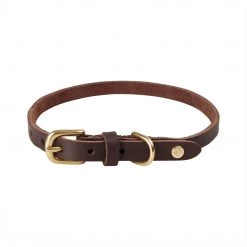 OYOY ZOO Robin Dog Collar - Large To Our Furry Friends