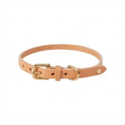 OYOY ZOO Robin Dog Collar - Medium