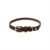 OYOY ZOO To Our Furry Friends Robin Dog Collar - Medium