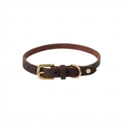 OYOY ZOO To Our Furry Friends Robin Dog Collar - Medium