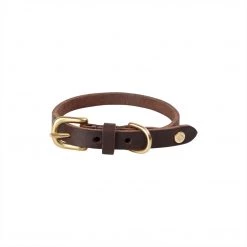 OYOY ZOO Robin Dog Collar - Small